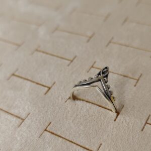 Anillo valencia